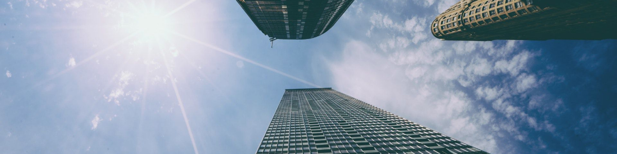 如何在香港辦理公司證照生效？全面解析指南